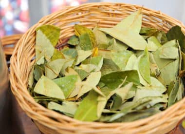LA HOJA DE COCA EN LA CAMINATA A WAQRA PUKARA